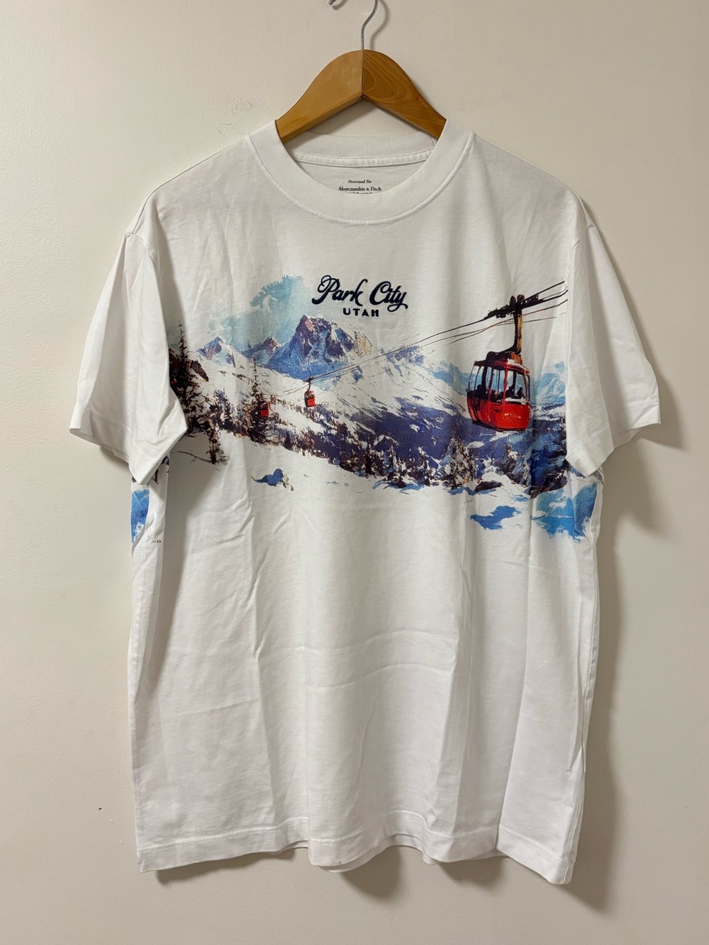 Men’s Abercrombie Ski Graphic Tee